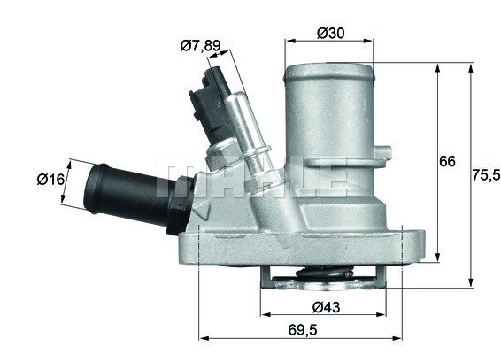 WILMINK GROUP WG1217591