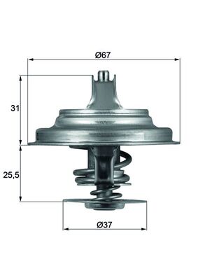 WILMINK GROUP WG1262721