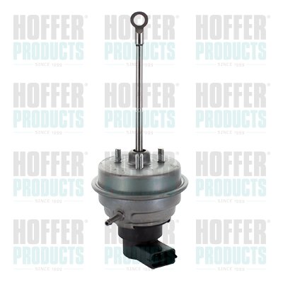 WILMINK GROUP WG1964543