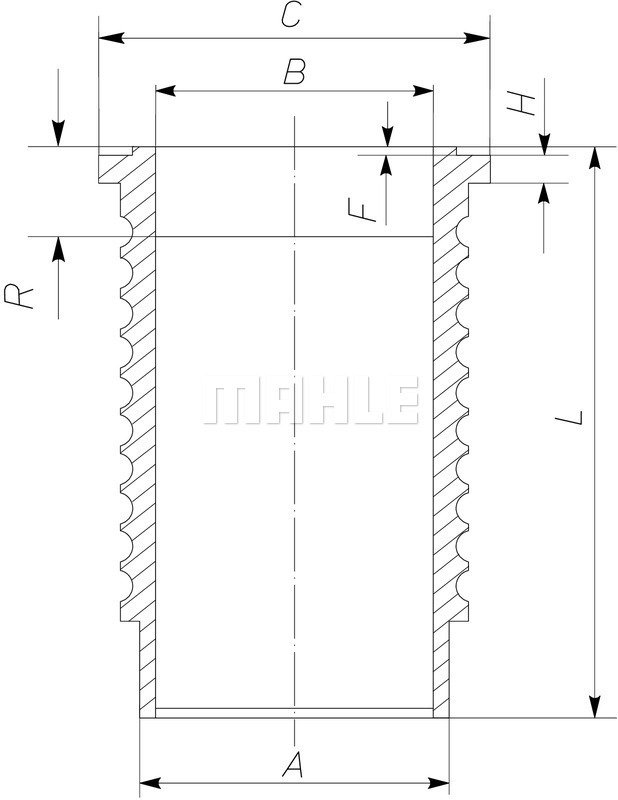 WILMINK GROUP WG1098322