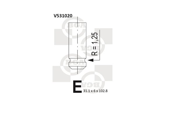 WILMINK GROUP WG1491487