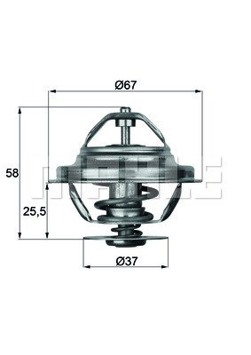 WILMINK GROUP WG1217906