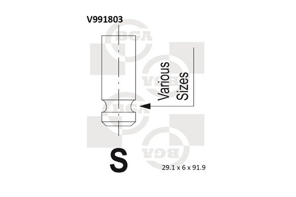 WILMINK GROUP WG1491601