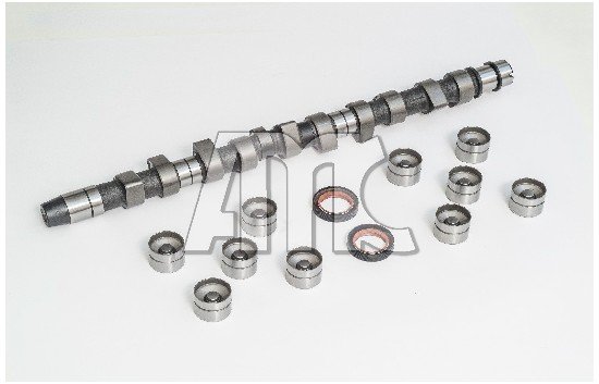 WILMINK GROUP WG2010599