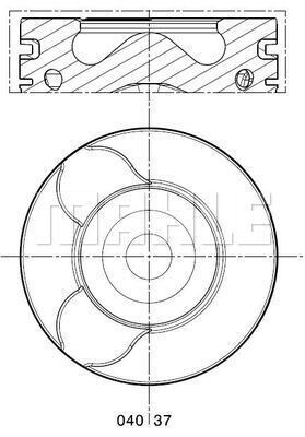 WILMINK GROUP WG1424243