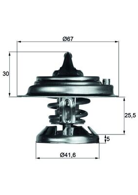 WILMINK GROUP WG1262731