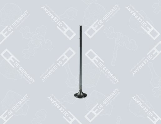 WILMINK GROUP WG2102473