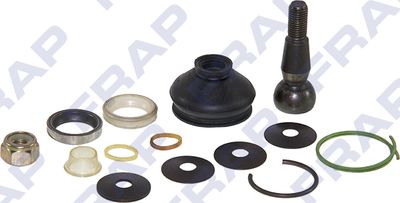 FRAP F1175