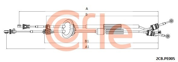 COFLE 2CB.PE005