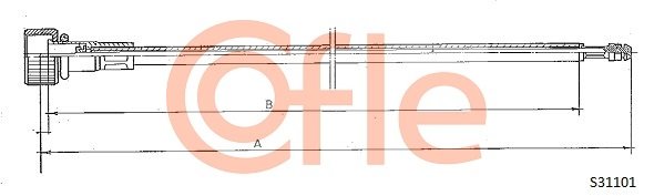 COFLE S31101