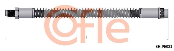 COFLE 92.BH.PE081