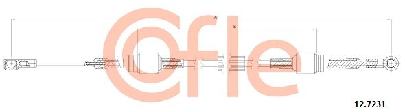 COFLE 12.7231