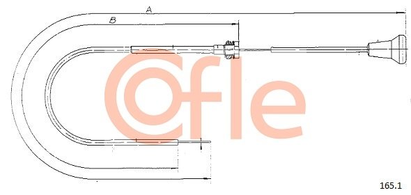 COFLE 92.165.1 COFLE 92.165.1