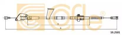 COFLE 19.2501