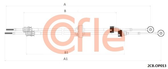 COFLE 2CB.OP013