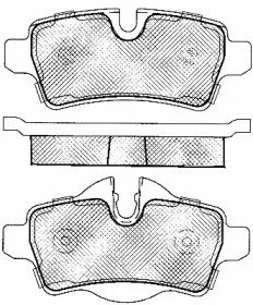 BSF 10955