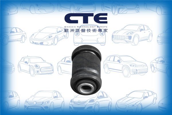 CTE CBH03009