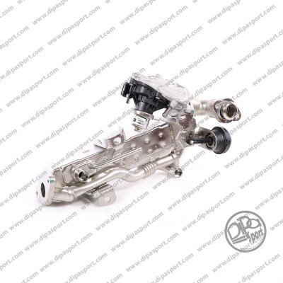 DIPASPORT EGR268RCR