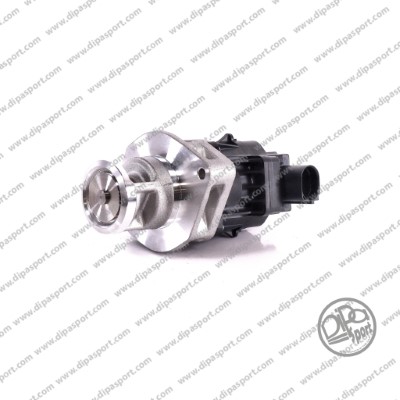 DIPASPORT EGR290R DIPASPORT EGR290R