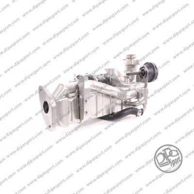 DIPASPORT EGR268PRBN