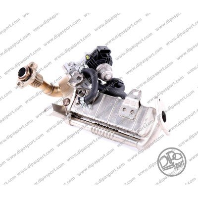 DIPASPORT EGR267RCR