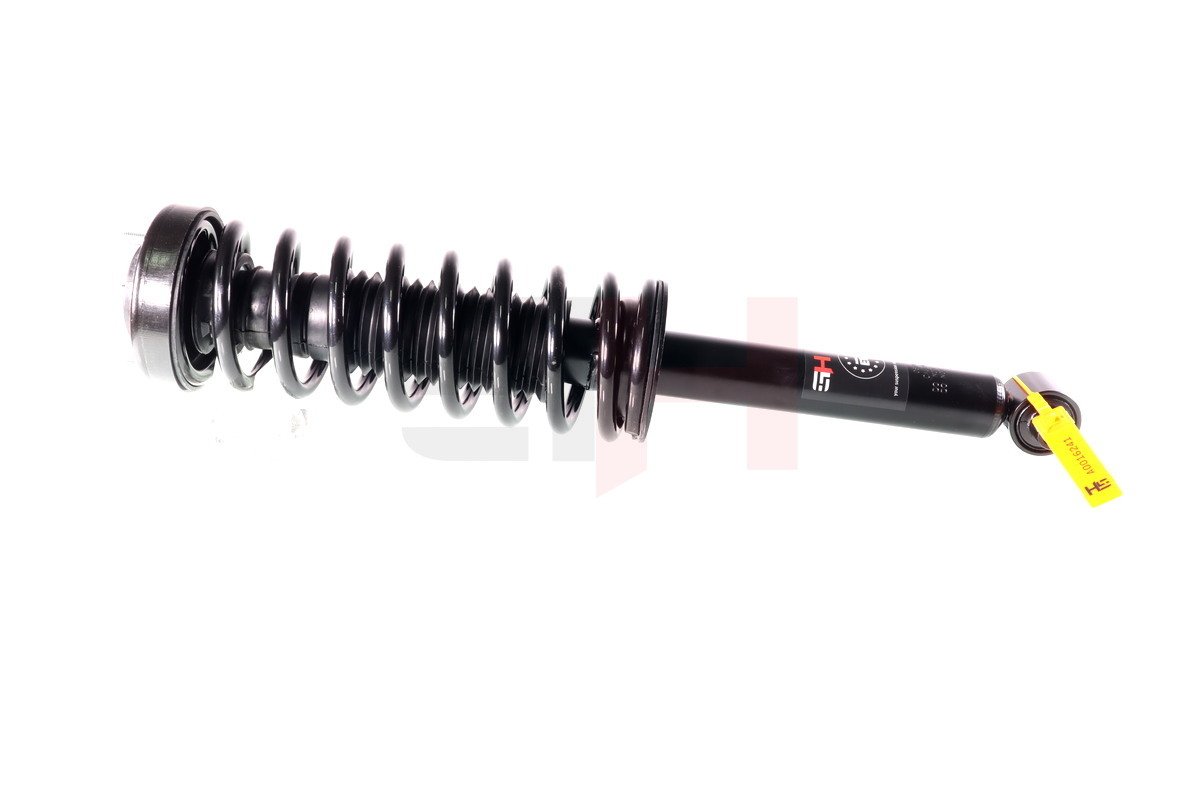 GH GH-331598C01