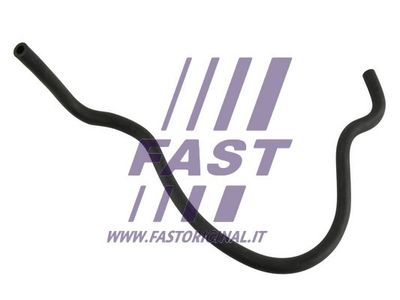 FAST FT61981