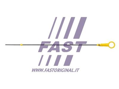 FAST FT80313