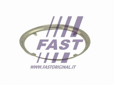 FAST FT84817