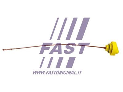 FAST FT80309