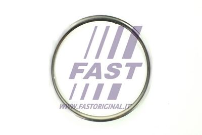 FAST FT84594