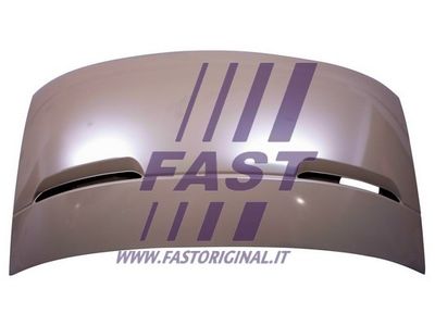FAST FT89118