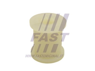 FAST FT18466