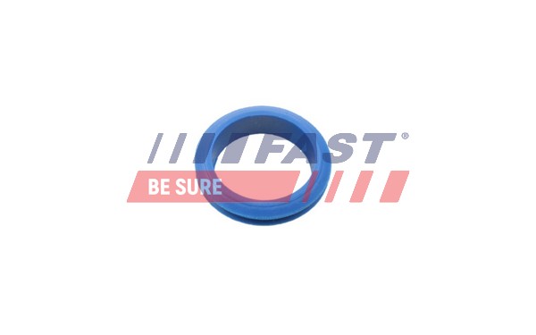 FAST FT48955 FAST FT48955