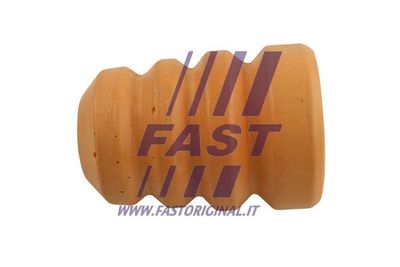 FAST FT18113