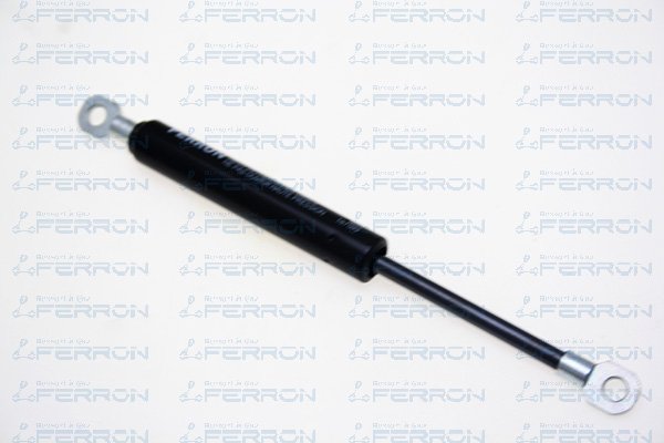 FERRON 1612