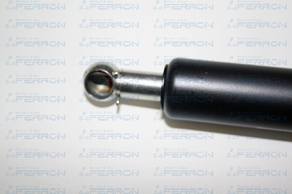 FERRON 1138L