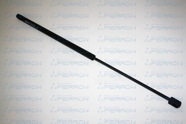 FERRON 1203