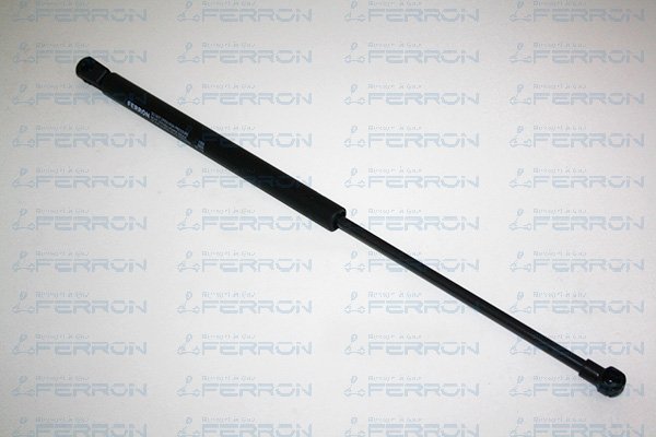 FERRON 1300