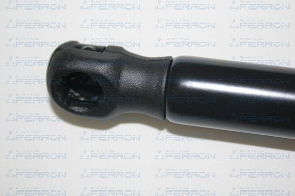 FERRON 1148