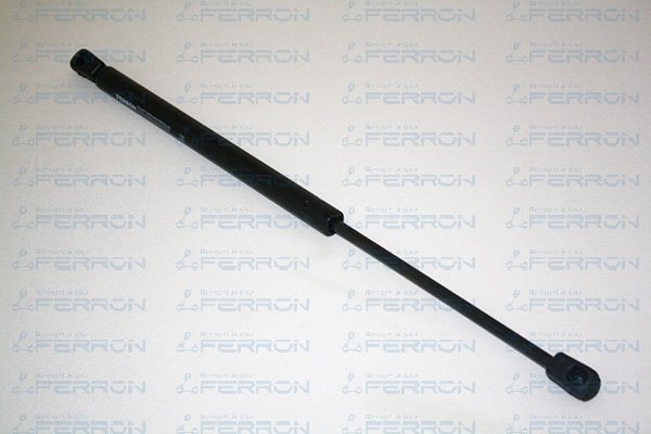 FERRON 1310