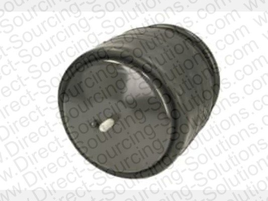 DSS 270253 DSS 270253