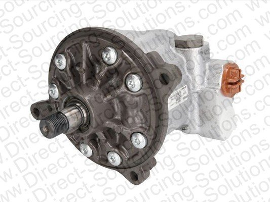 DSS 250128 DSS 250128