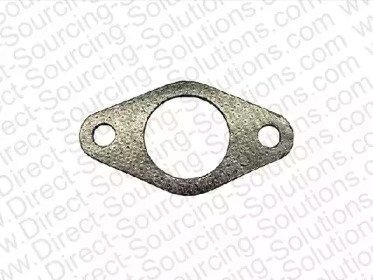 DSS 101579