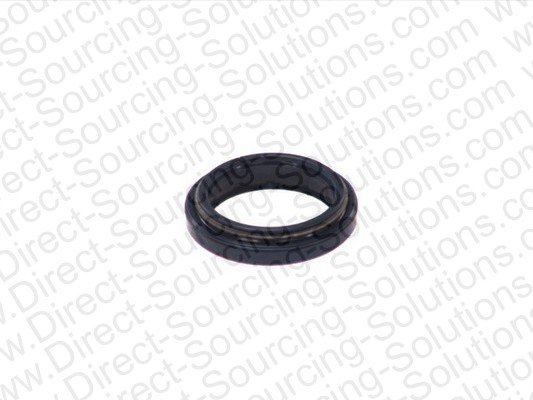 DSS 950031 DSS 950031