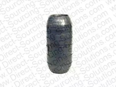 DSS 207009