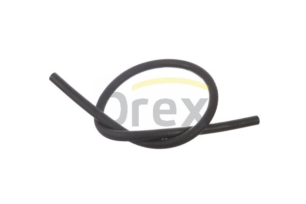 OREX 250124