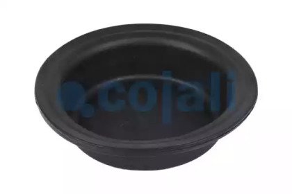COJALI 6001117 COJALI 6001117