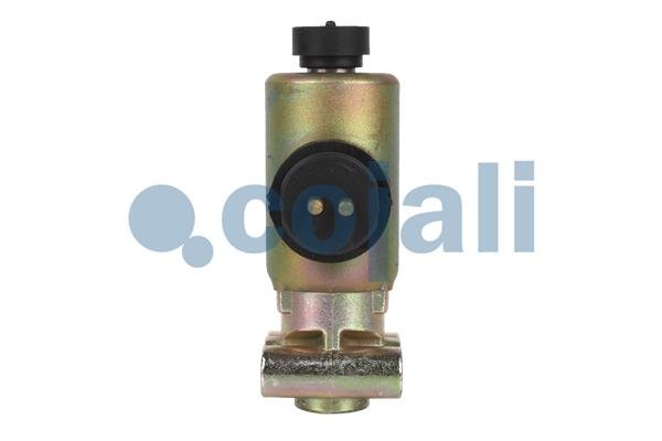 COJALI 2218205 COJALI 2218205