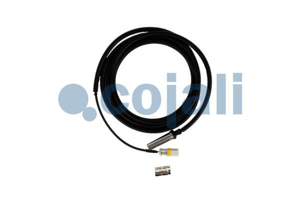 COJALI 2261033 COJALI 2261033